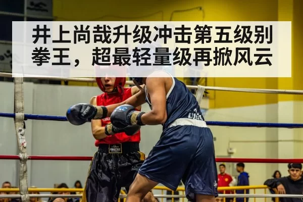 井上尚哉升级冲击第五级别拳王，超最轻量级再掀风云